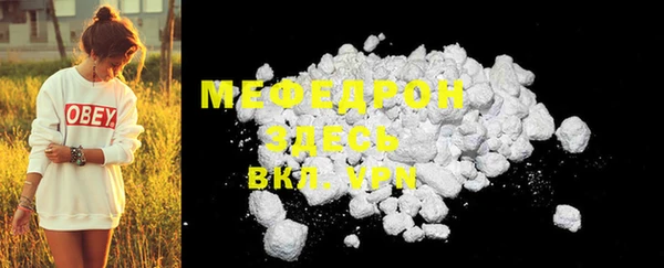 spice Инта