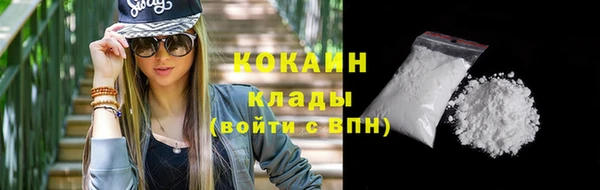 прущие грибы Каменка