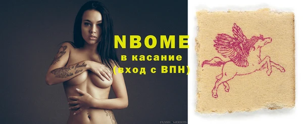 прущие грибы Каменка