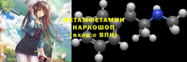 spice Инта