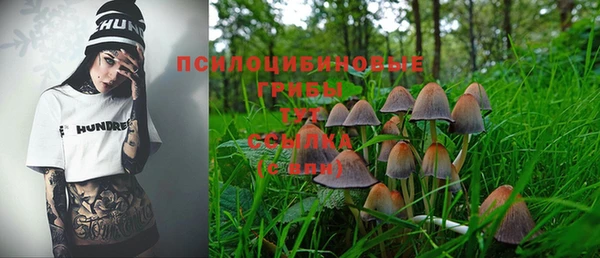 прущие грибы Каменка