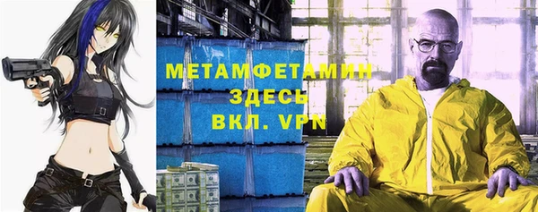 прущие грибы Каменка