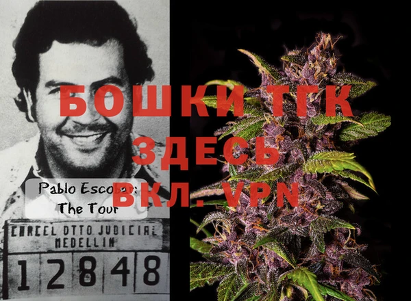 прущие грибы Каменка
