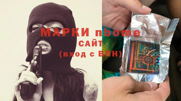 spice Инта