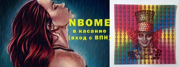 прущие грибы Каменка