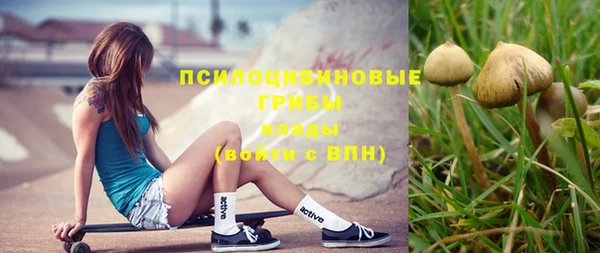 не бодяженный Каменногорск