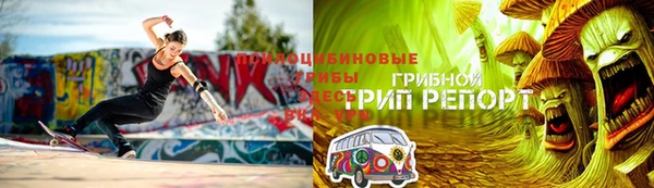 mdpv Карпинск