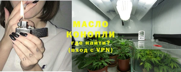 spice Инта