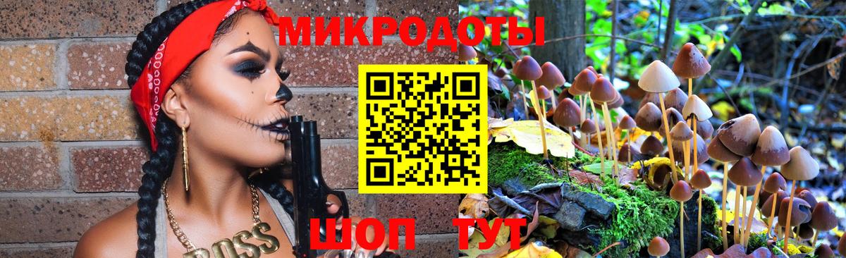 Галлюциногенные грибы Magic Shrooms  Галлюциногенные грибы GOLDEN TEACHER  Котлас 