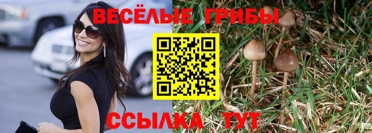 Псилоцибиновые грибы Magic Shrooms  Вход с VPN  Котлас 